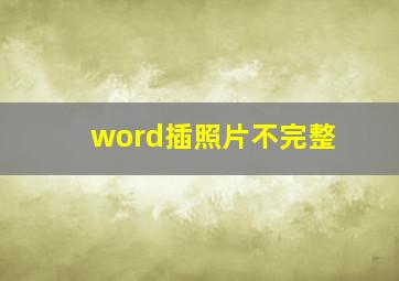 word插照片不完整