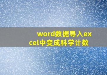 word数据导入excel中变成科学计数