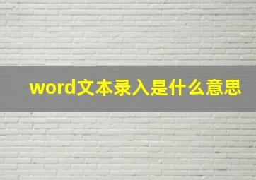 word文本录入是什么意思