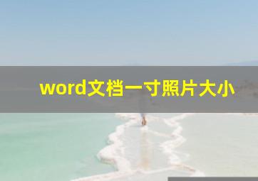 word文档一寸照片大小