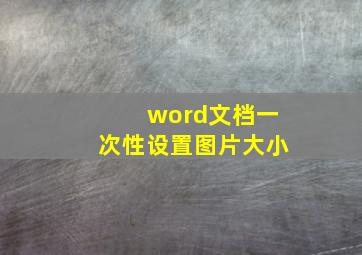 word文档一次性设置图片大小