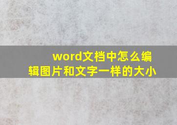 word文档中怎么编辑图片和文字一样的大小