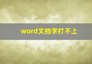 word文档字打不上