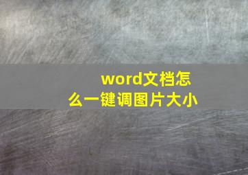 word文档怎么一键调图片大小