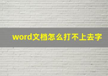 word文档怎么打不上去字