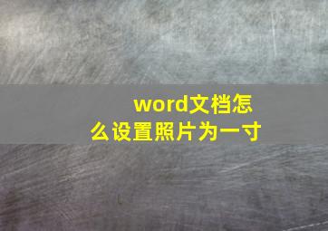 word文档怎么设置照片为一寸