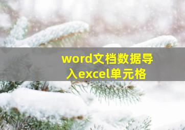 word文档数据导入excel单元格