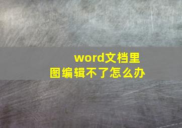 word文档里图编辑不了怎么办