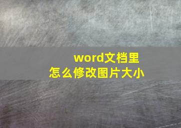 word文档里怎么修改图片大小