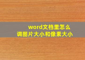 word文档里怎么调图片大小和像素大小