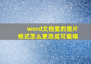 word文档里的图片格式怎么更改成可编辑