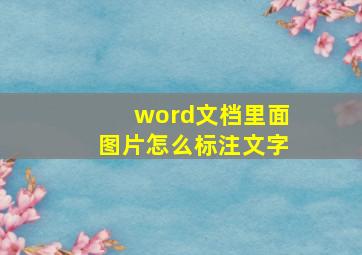 word文档里面图片怎么标注文字