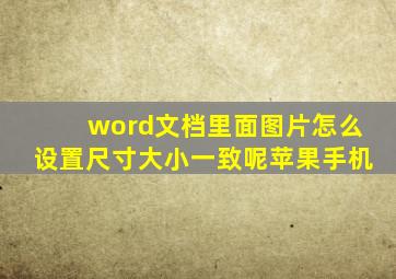 word文档里面图片怎么设置尺寸大小一致呢苹果手机