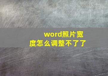 word照片宽度怎么调整不了了