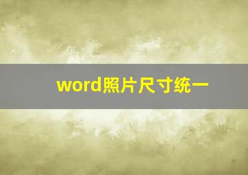 word照片尺寸统一