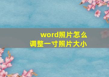 word照片怎么调整一寸照片大小