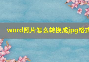 word照片怎么转换成jpg格式