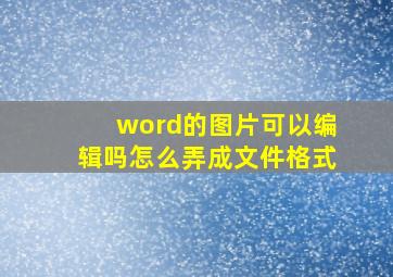 word的图片可以编辑吗怎么弄成文件格式