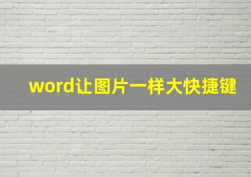 word让图片一样大快捷键