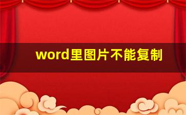 word里图片不能复制