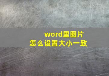 word里图片怎么设置大小一致