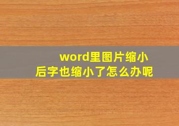 word里图片缩小后字也缩小了怎么办呢