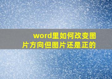 word里如何改变图片方向但图片还是正的