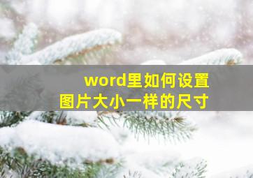 word里如何设置图片大小一样的尺寸