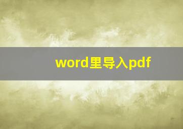 word里导入pdf