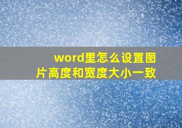 word里怎么设置图片高度和宽度大小一致