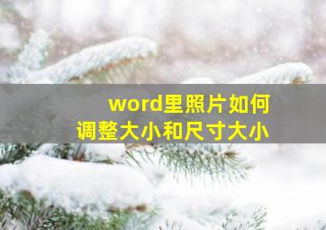 word里照片如何调整大小和尺寸大小