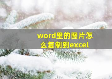 word里的图片怎么复制到excel