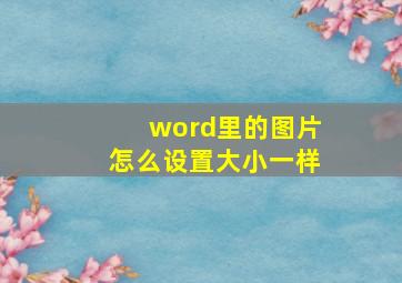 word里的图片怎么设置大小一样