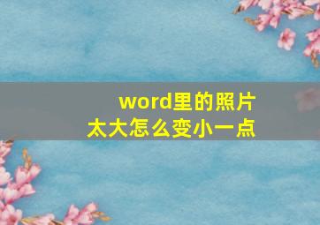 word里的照片太大怎么变小一点