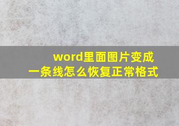 word里面图片变成一条线怎么恢复正常格式