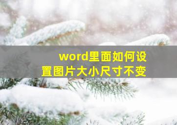 word里面如何设置图片大小尺寸不变