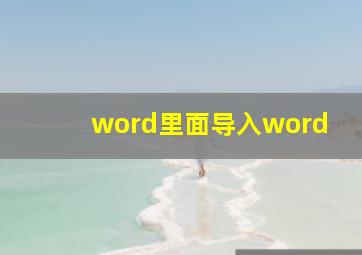 word里面导入word