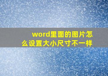 word里面的图片怎么设置大小尺寸不一样