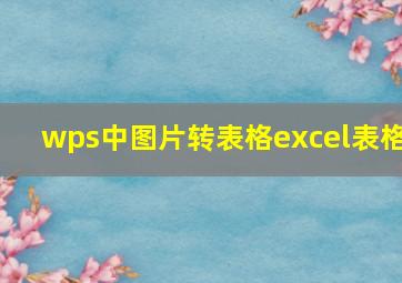 wps中图片转表格excel表格