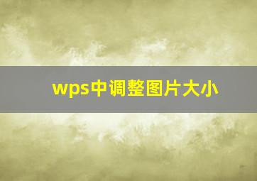 wps中调整图片大小