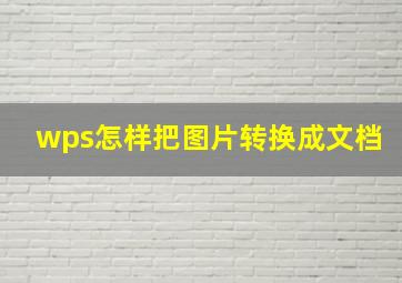 wps怎样把图片转换成文档