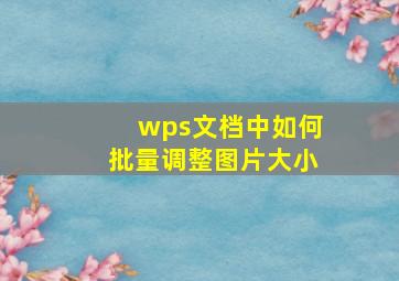 wps文档中如何批量调整图片大小