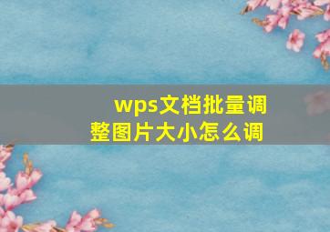 wps文档批量调整图片大小怎么调