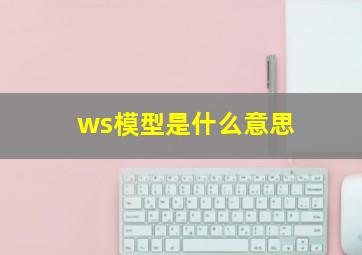 ws模型是什么意思