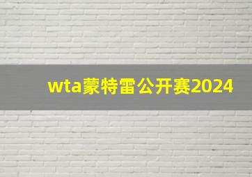 wta蒙特雷公开赛2024