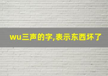 wu三声的字,表示东西坏了