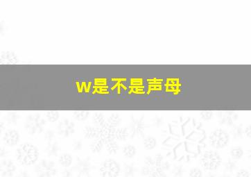 w是不是声母