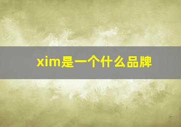 xim是一个什么品牌