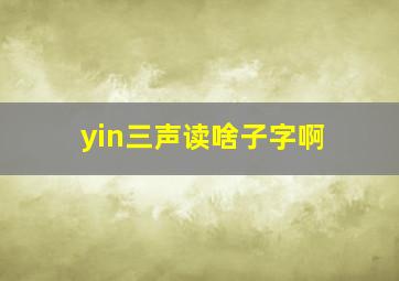 yin三声读啥子字啊