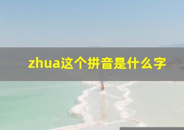 zhua这个拼音是什么字